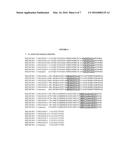 VE-PTP Extracellular Domain Antibodies Delivered by a Gene Therapy Vector diagram and image