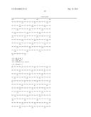 VE-PTP Extracellular Domain Antibodies Delivered by a Gene Therapy Vector diagram and image