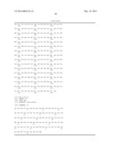 VE-PTP Extracellular Domain Antibodies Delivered by a Gene Therapy Vector diagram and image