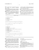 Clinical Multimodality-Tools for Pre-And Intraoperative Insulinoma     Diagnostics diagram and image