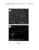 PERIPHERAL NERVE GROWTH CONDUIT diagram and image