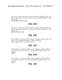 SYSTEM AND METHOD FOR OPTOGENETIC THERAPY diagram and image