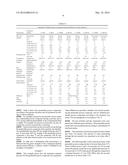 PERMEABLE POROUS COMPOSITE diagram and image