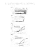 NOVEL COMPOUNDS FOR SELECTIVE HISTONE DEACETYLASE INHIBITORS, AND     PHARMACEUTICAL COMPOSITION COMPRISING THE SAME diagram and image