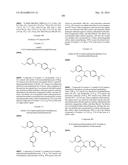 NOVEL COMPOUNDS FOR SELECTIVE HISTONE DEACETYLASE INHIBITORS, AND     PHARMACEUTICAL COMPOSITION COMPRISING THE SAME diagram and image