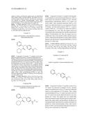 NOVEL COMPOUNDS FOR SELECTIVE HISTONE DEACETYLASE INHIBITORS, AND     PHARMACEUTICAL COMPOSITION COMPRISING THE SAME diagram and image