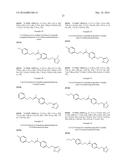 OXIMINO DERIVATIVES FOR THE TREATMENT OF DYSLIPIDEMIA diagram and image