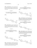 OXIMINO DERIVATIVES FOR THE TREATMENT OF DYSLIPIDEMIA diagram and image