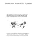 SUBSTITUTED BRIDGED UREA ANALOGS AS SIRTUIN MODULATORS diagram and image