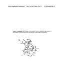 SUBSTITUTED BRIDGED UREA ANALOGS AS SIRTUIN MODULATORS diagram and image