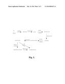 INDOLINE COMPOUNDS AS GRANZYME B INHIBITORS diagram and image