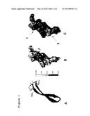 CYCLIC CATIONIC PEPTIDES WITH ANTIBMICROBIAL ACTIVITY diagram and image