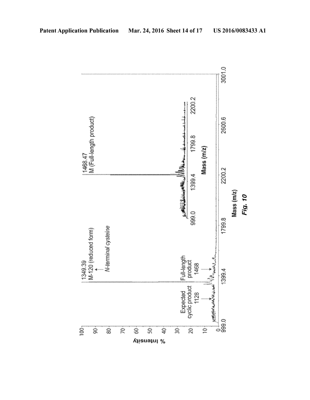 TEMPLATE-DIRECTED GAMMAPNA SYNTHESIS PROCESS AND GAMMAPNA TARGETING     COMPOUNDS - diagram, schematic, and image 15