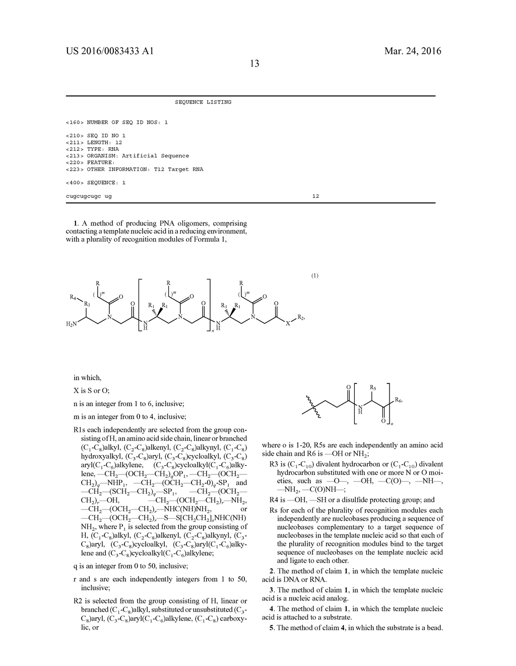 TEMPLATE-DIRECTED GAMMAPNA SYNTHESIS PROCESS AND GAMMAPNA TARGETING     COMPOUNDS - diagram, schematic, and image 31