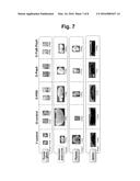 COMPOSITION COMPRISING RECOMBINANT FUSION PROTEIN OF PATHOGENIC ANTIGEN     PROTEIN AND FLAGELLIN OF VIBRIO VULNIFICUS FOR PREVENTING, ALLEVIATING,     OR TREATING AGING diagram and image