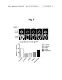 COMPOSITION COMPRISING RECOMBINANT FUSION PROTEIN OF PATHOGENIC ANTIGEN     PROTEIN AND FLAGELLIN OF VIBRIO VULNIFICUS FOR PREVENTING, ALLEVIATING,     OR TREATING AGING diagram and image