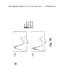 T CELL IMMUNOTHERAPY SPECIFIC FOR WT-1 diagram and image