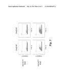 T CELL IMMUNOTHERAPY SPECIFIC FOR WT-1 diagram and image