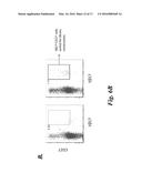 T CELL IMMUNOTHERAPY SPECIFIC FOR WT-1 diagram and image