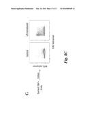 T CELL IMMUNOTHERAPY SPECIFIC FOR WT-1 diagram and image