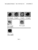 FUSION PROTEINS AND IMMUNOCONJUGATES AND USES THEREOF diagram and image