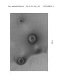 FRACTURING OR GRAVEL-PACKING FLUID WITH CMHEC IN BRINE diagram and image