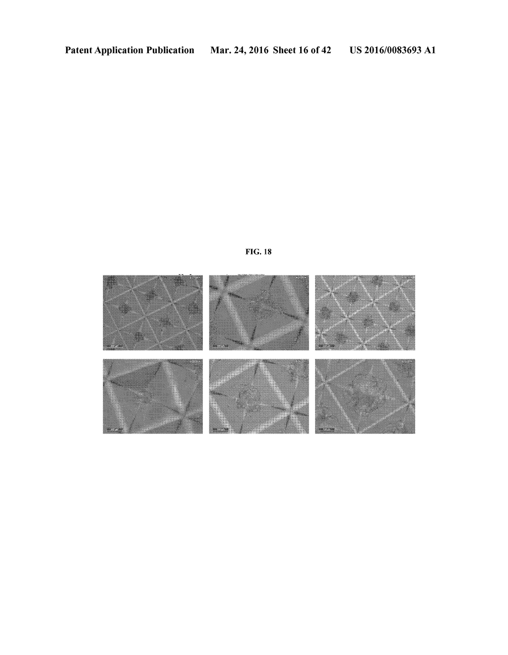 COMPOSITIONS AND METHODS FOR DIFFERENTIATING STEM CELLS INTO CELL     POPULATIONS COMPRISING BETA-LIKE CELLS - diagram, schematic, and image 17