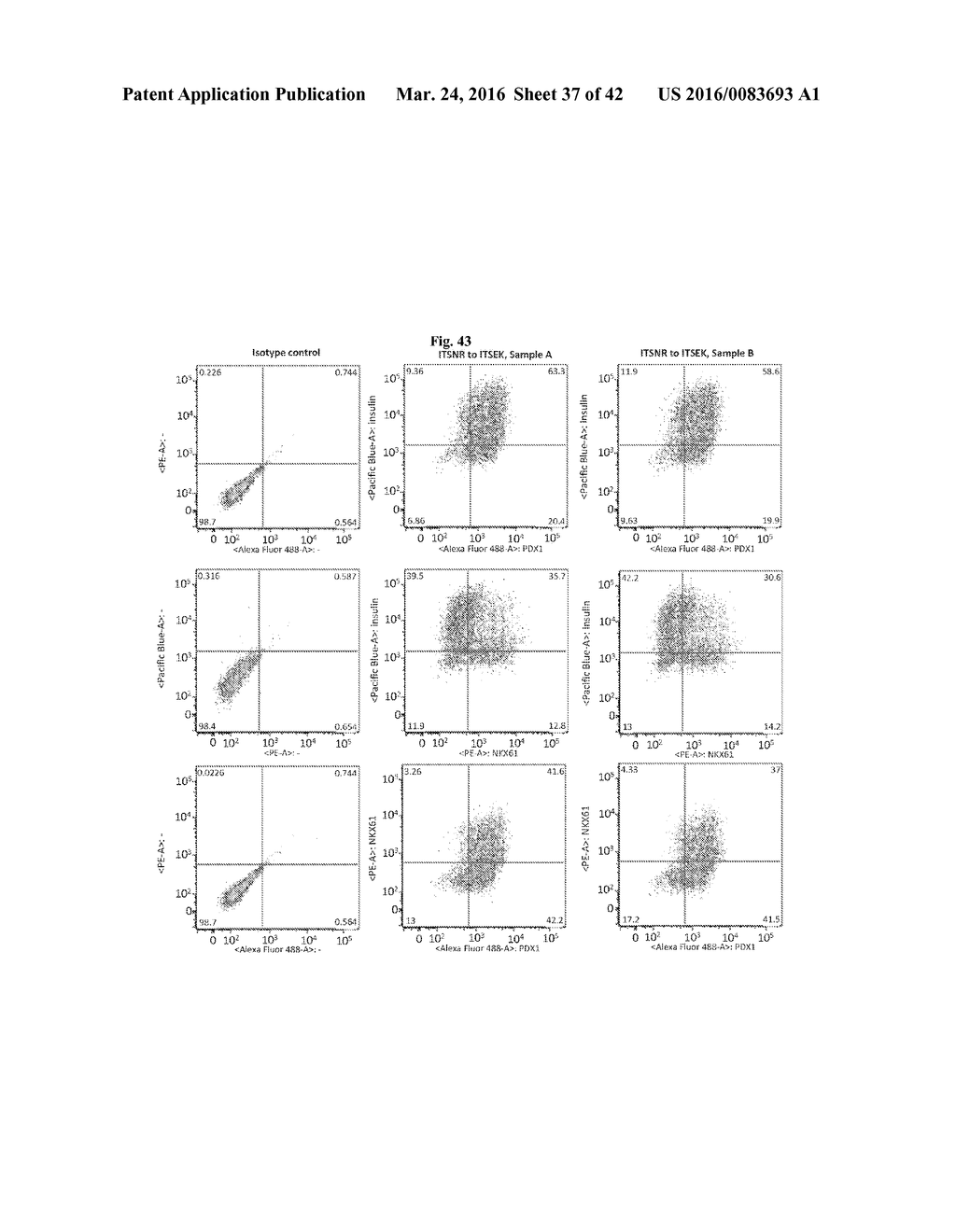 COMPOSITIONS AND METHODS FOR DIFFERENTIATING STEM CELLS INTO CELL     POPULATIONS COMPRISING BETA-LIKE CELLS - diagram, schematic, and image 38