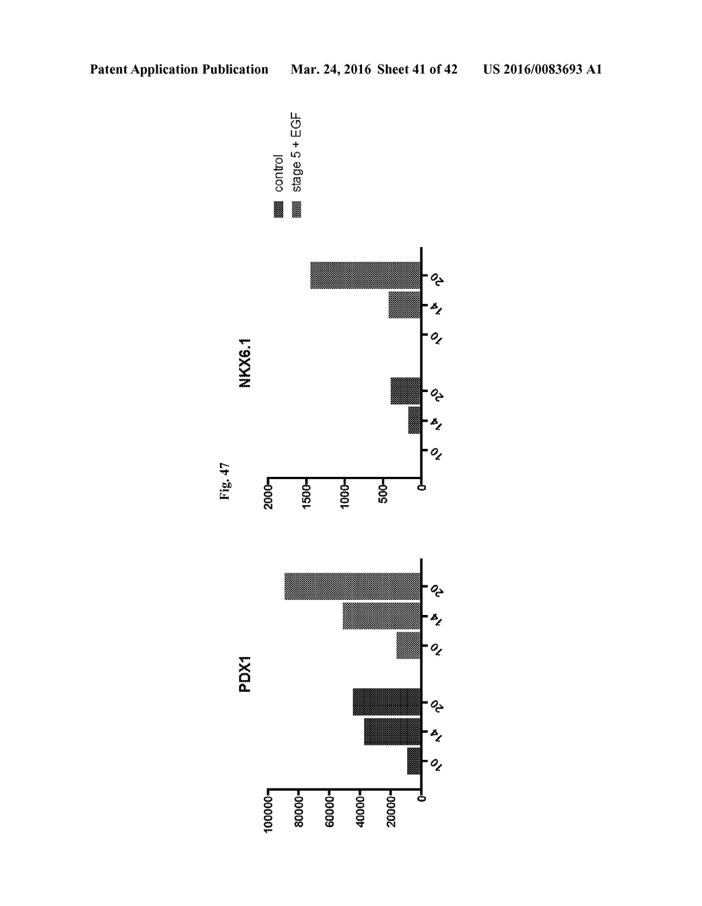 COMPOSITIONS AND METHODS FOR DIFFERENTIATING STEM CELLS INTO CELL     POPULATIONS COMPRISING BETA-LIKE CELLS - diagram, schematic, and image 42