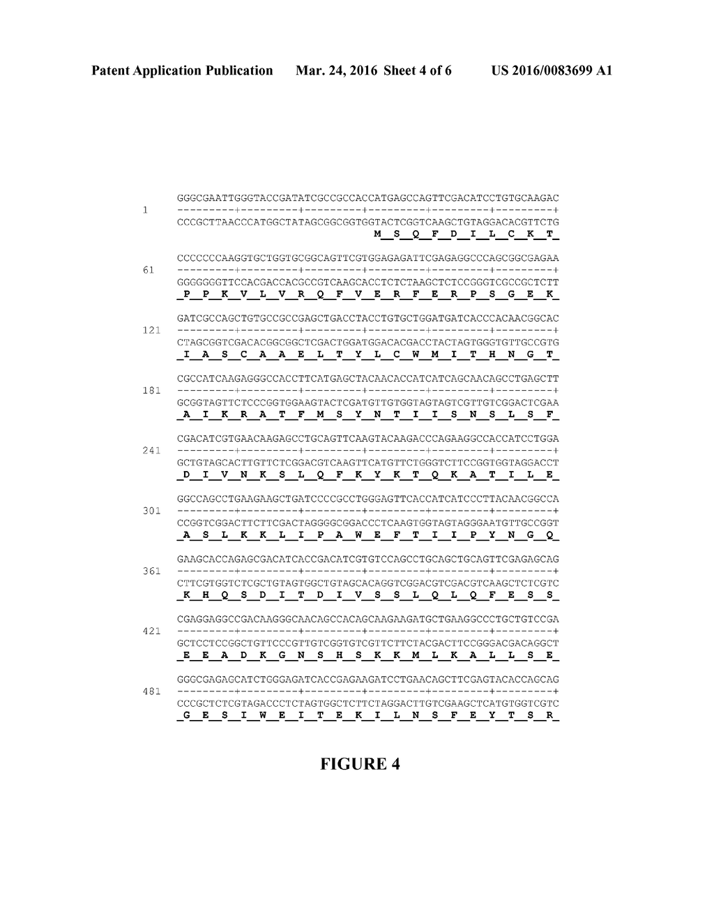 HIGH EFFICIENCY FLP SITE-SPECIFIC RECOMBINATION IN MAMMALIAN CELLS USING     AN OPTIMIZED FLP GENE - diagram, schematic, and image 05