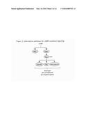 METHODS FOR MODULATING CYCLIC NUCLEOTIDE-MEDIATED SIGNALING IN CARDIAC     MYOCYTES AND COMPOSITIONS diagram and image