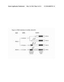 METHODS FOR MODULATING CYCLIC NUCLEOTIDE-MEDIATED SIGNALING IN CARDIAC     MYOCYTES AND COMPOSITIONS diagram and image