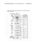 METHODS FOR MODULATING CYCLIC NUCLEOTIDE-MEDIATED SIGNALING IN CARDIAC     MYOCYTES AND COMPOSITIONS diagram and image