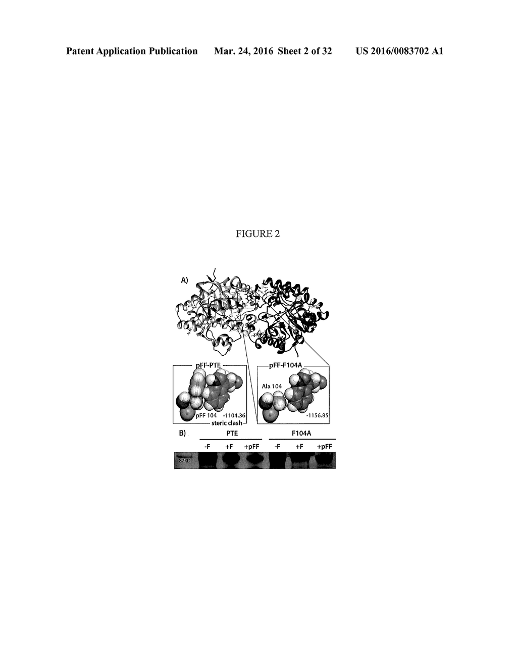 NOVEL PHOSPHOTRIESTERASE ENZYMES, METHODS AND COMPOSITIONS RELATED THERETO - diagram, schematic, and image 03