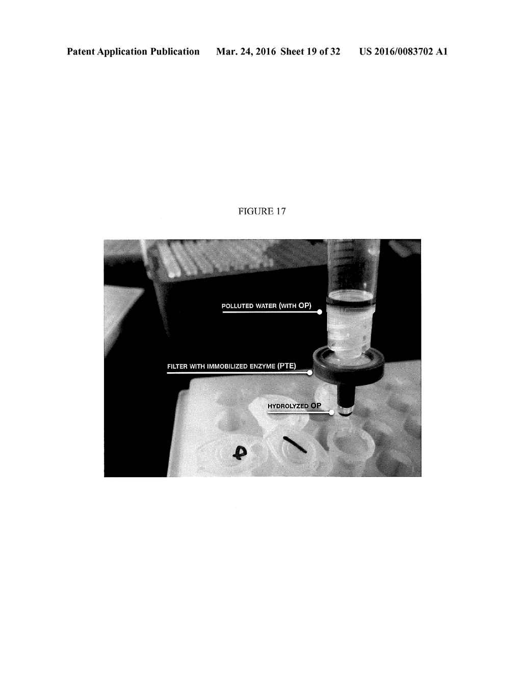 NOVEL PHOSPHOTRIESTERASE ENZYMES, METHODS AND COMPOSITIONS RELATED THERETO - diagram, schematic, and image 20