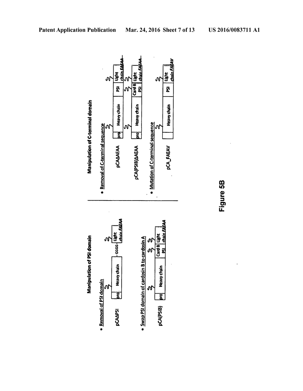 ASPARTIC PROTEASES - diagram, schematic, and image 08