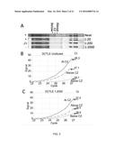 Highly Simplified Lateral Flow-Based Nucleic Acid Sample Preparation and     Passive Fluid Flow Control diagram and image