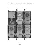 Highly Simplified Lateral Flow-Based Nucleic Acid Sample Preparation and     Passive Fluid Flow Control diagram and image