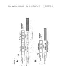 METHOD FOR THE SYNTHESIS OF A BIFUNCTIONAL COMPLEX diagram and image