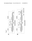 METHOD FOR THE SYNTHESIS OF A BIFUNCTIONAL COMPLEX diagram and image