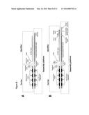 METHOD FOR THE SYNTHESIS OF A BIFUNCTIONAL COMPLEX diagram and image