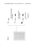 METHOD FOR THE SYNTHESIS OF A BIFUNCTIONAL COMPLEX diagram and image