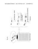 METHOD FOR THE SYNTHESIS OF A BIFUNCTIONAL COMPLEX diagram and image