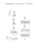 METHOD FOR THE SYNTHESIS OF A BIFUNCTIONAL COMPLEX diagram and image