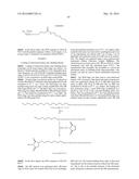 METHOD FOR THE SYNTHESIS OF A BIFUNCTIONAL COMPLEX diagram and image