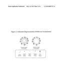 PHASE CHANGING FORMULATIONS OF NUCLEIC ACID PAYLOADS diagram and image