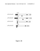 Increasing the Content of Long Chain Fatty Acids in Seed Oil diagram and image