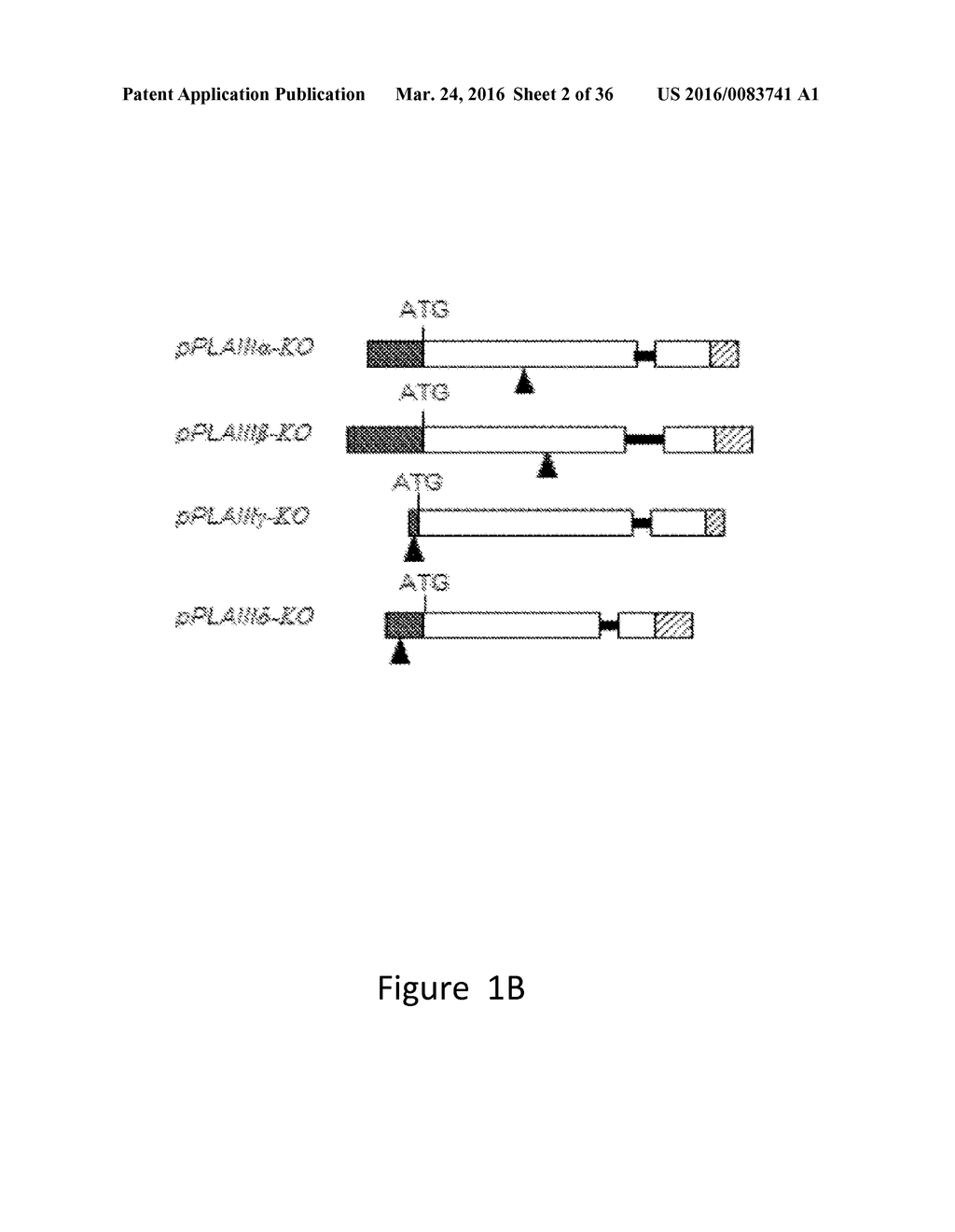 Increasing the Content of Long Chain Fatty Acids in Seed Oil - diagram, schematic, and image 03