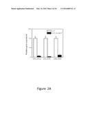 Increasing the Content of Long Chain Fatty Acids in Seed Oil diagram and image