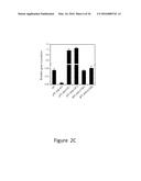 Increasing the Content of Long Chain Fatty Acids in Seed Oil diagram and image